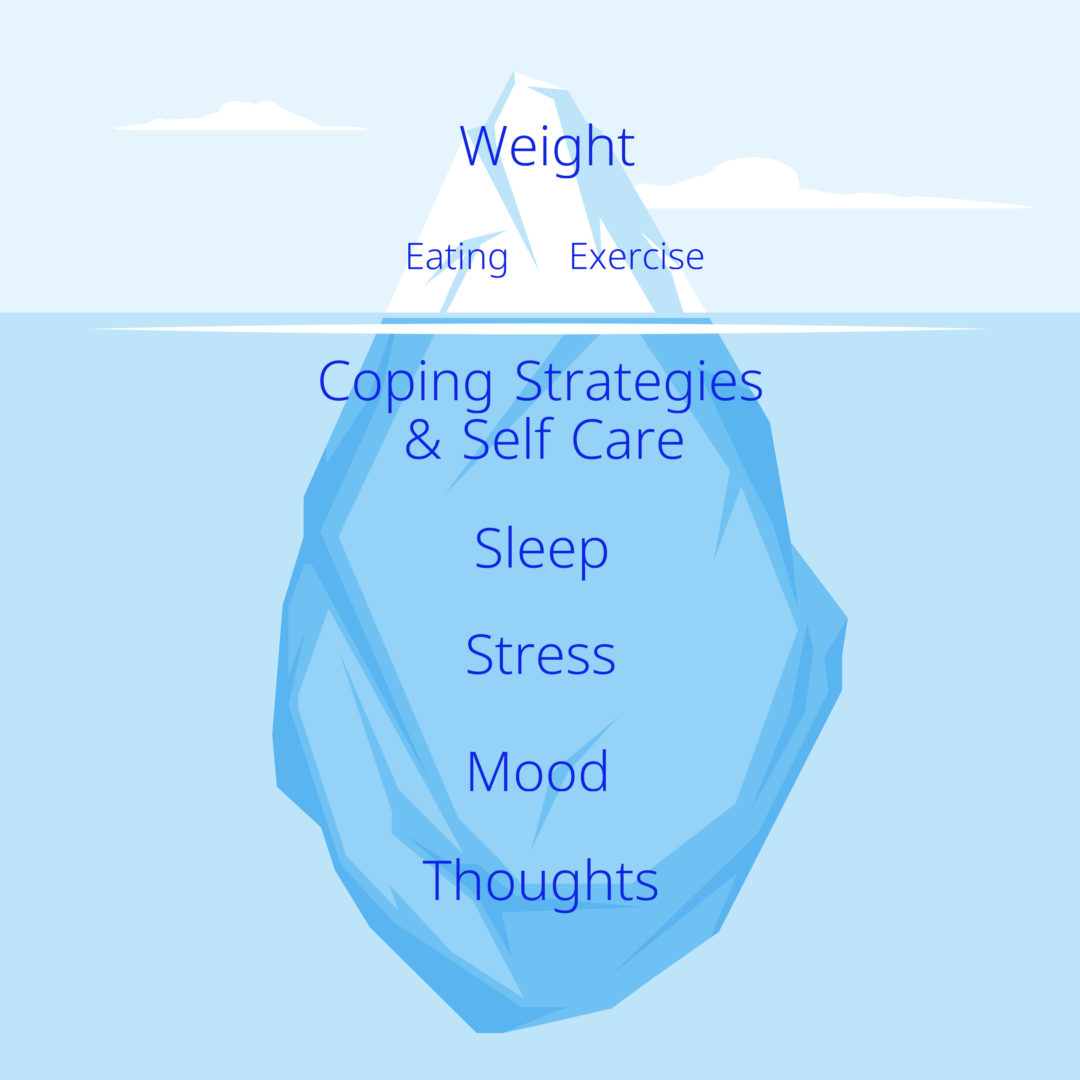 Avoiding Weight Loss Icebergs Weight Solutions for Physicians